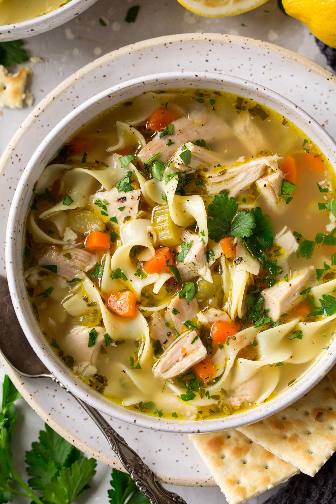 Close up image of a single serving of chicken noodle soup