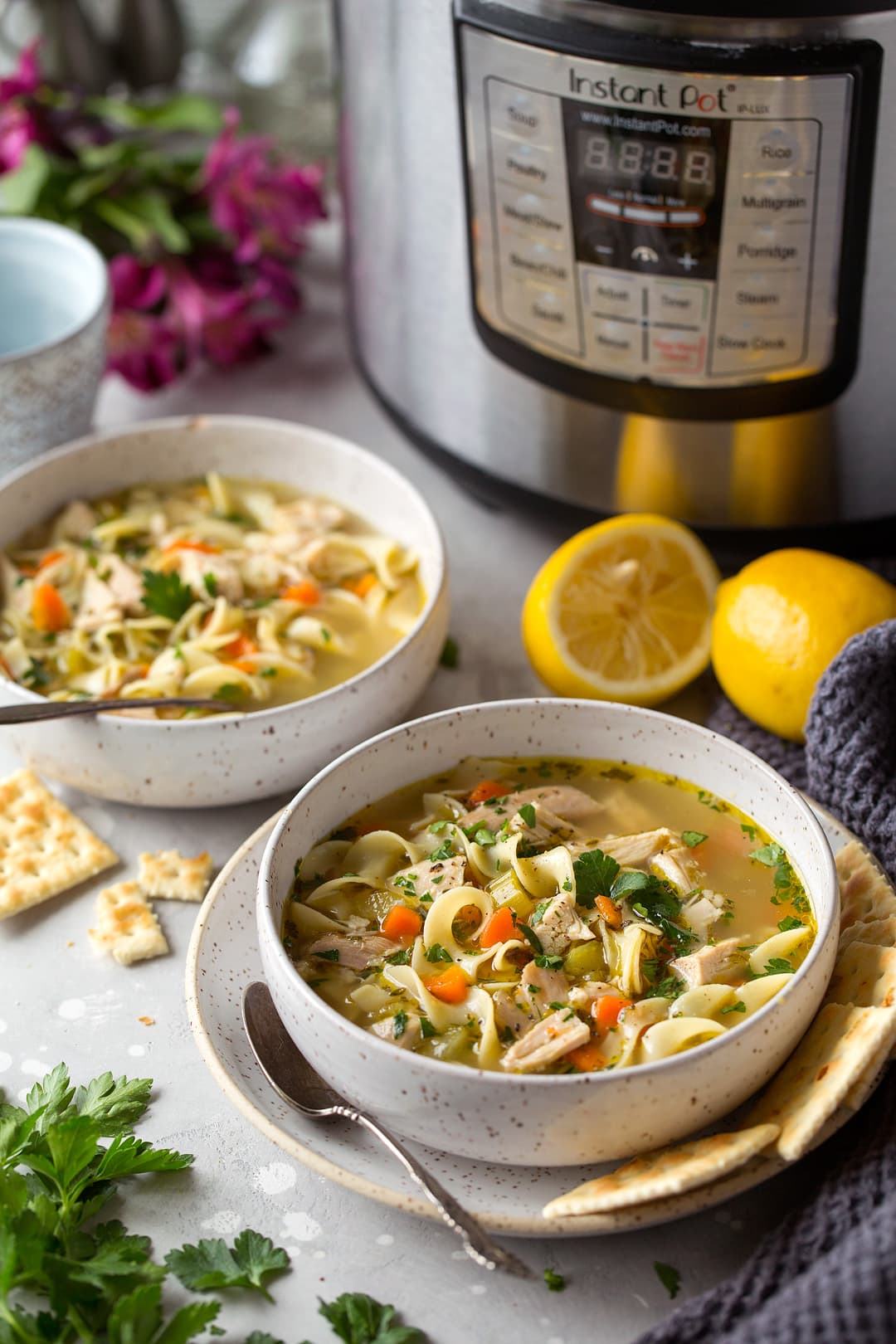 Homemade Chicken Noodle Soup two servings shown her in white speckled ceramic bowls on a grey surface