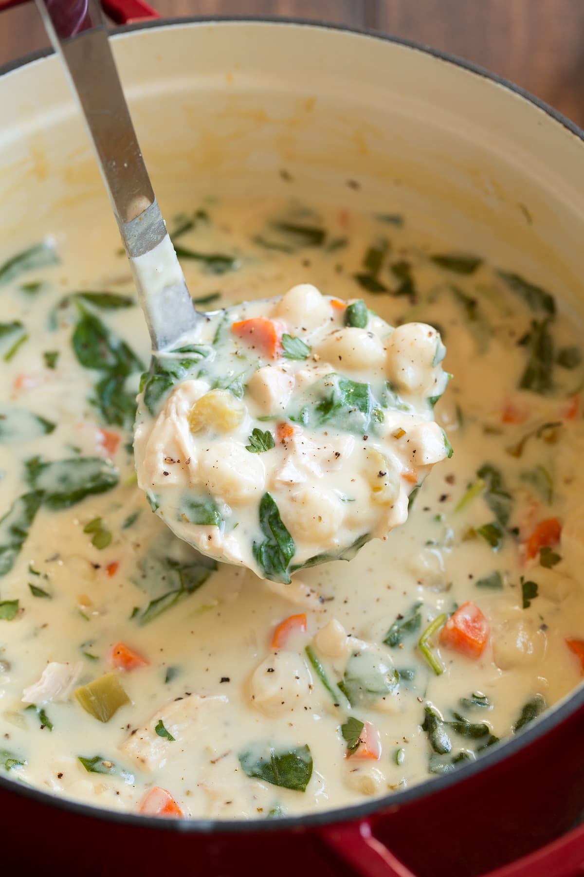 Ladle full of chicken gnocchi soup.