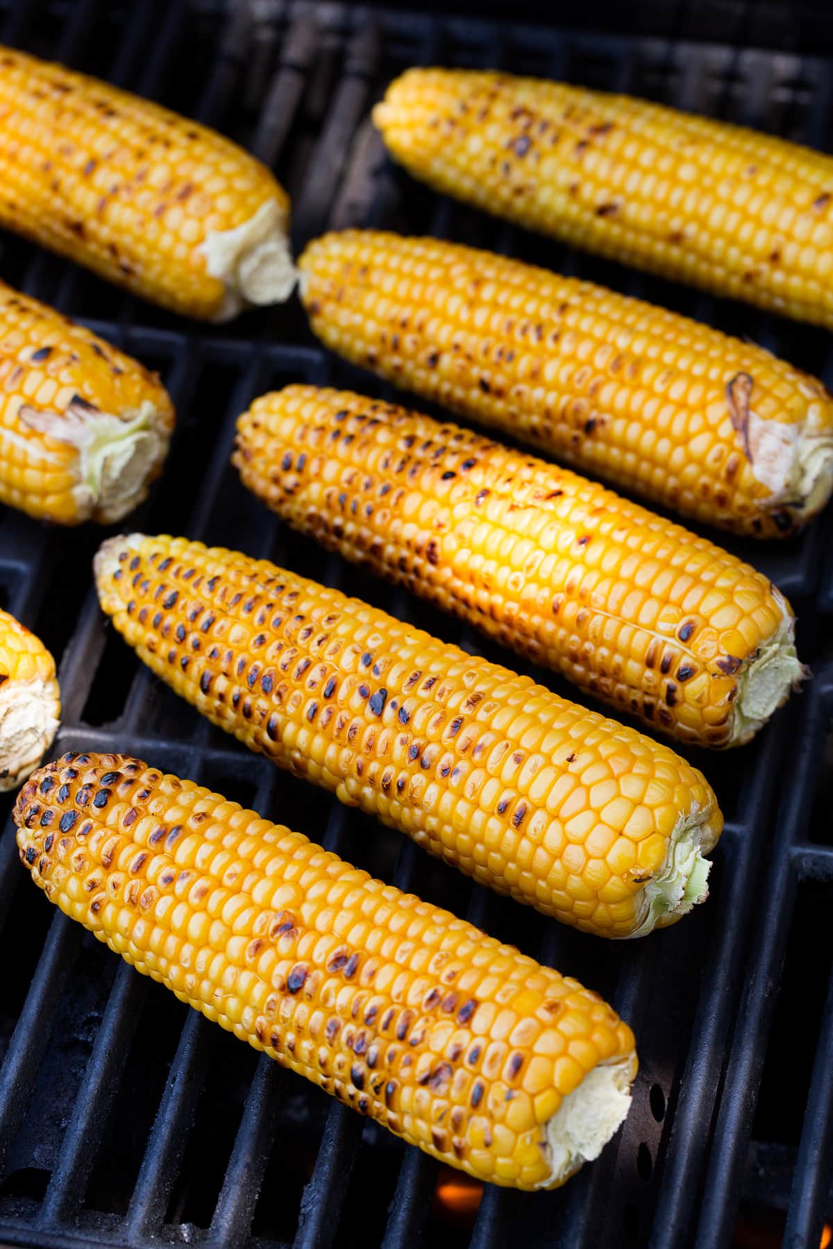 Eight ears of corn on a grill with dark char marks.
