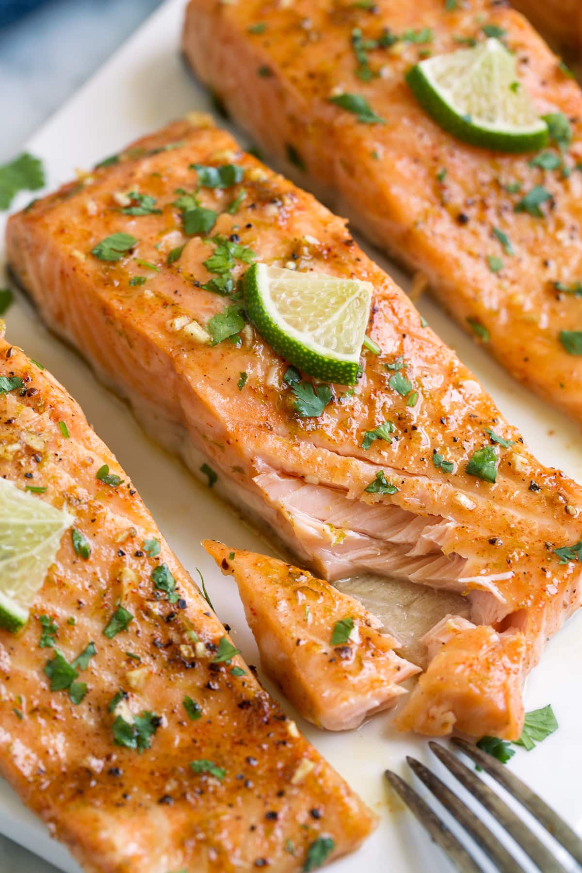 Salmon fillet with one pieces missing to show texture of interior.