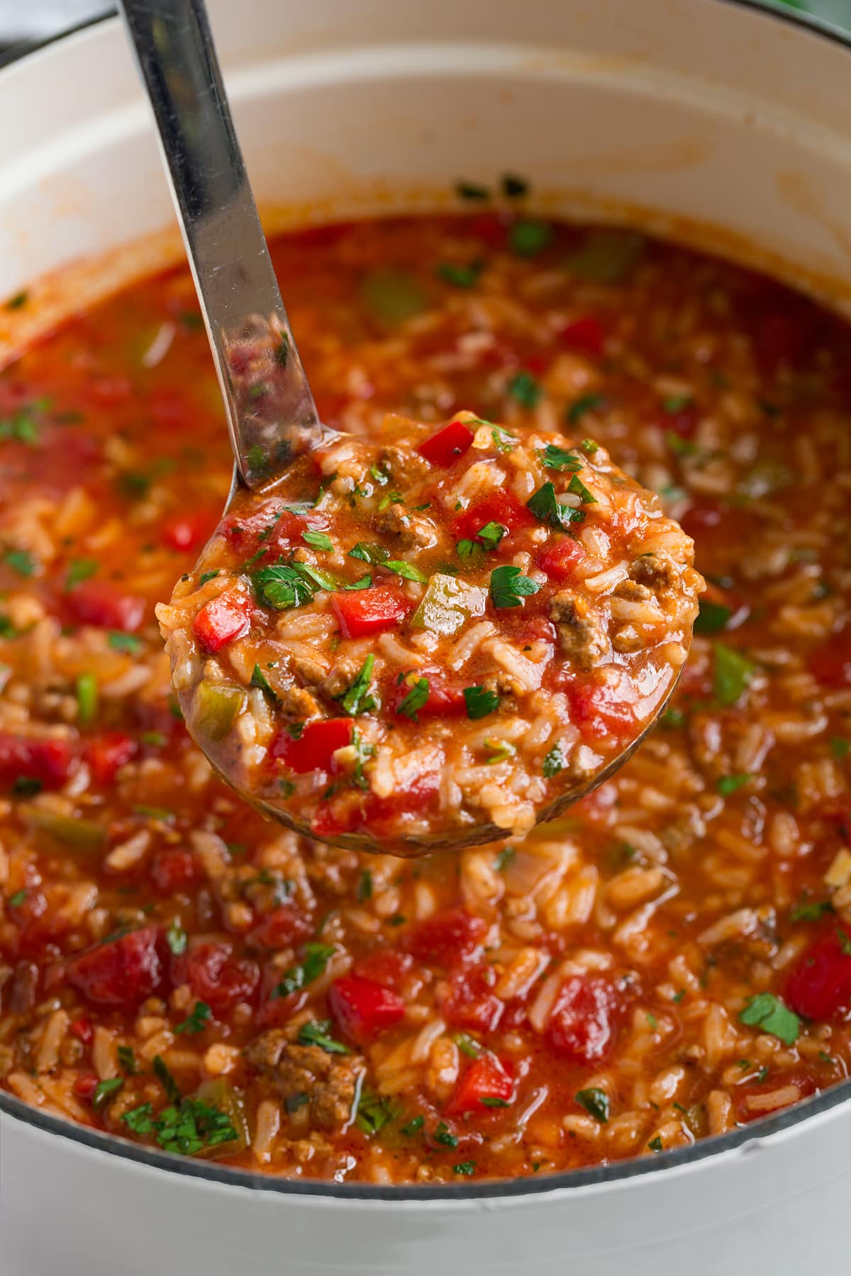 Ladle full of Stuffed Pepper Soup.