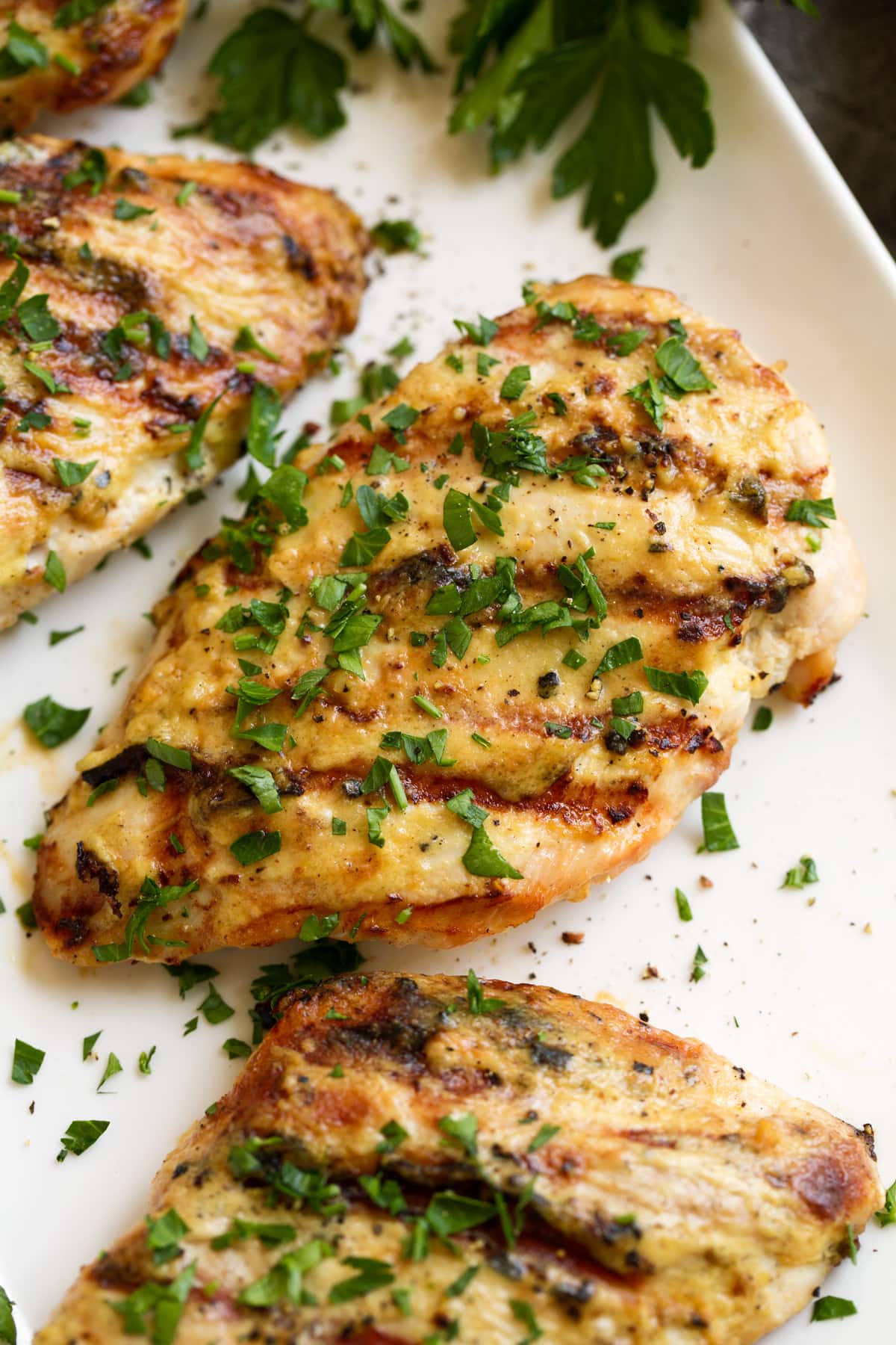 Grilled Dijon Chicken Close up image of grilled creamy garlic dijon chicken.